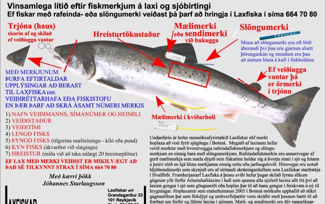 Fiskmerki-ferskvatnsfiskar-Botnsá