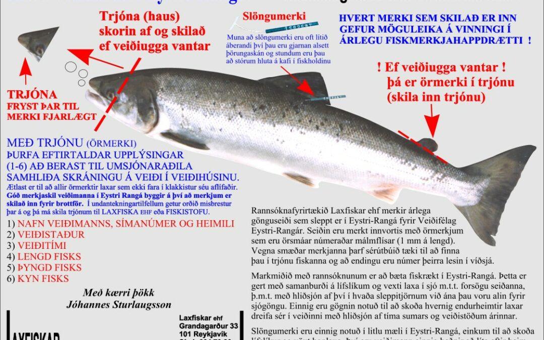 Fiskmerki-ferskvatnsfiskar-Eystri-Rangá