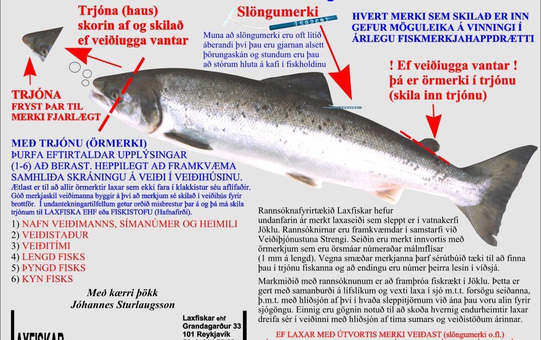 Veiðisvæði Jökulsár á Dal/Brú (Jökla)