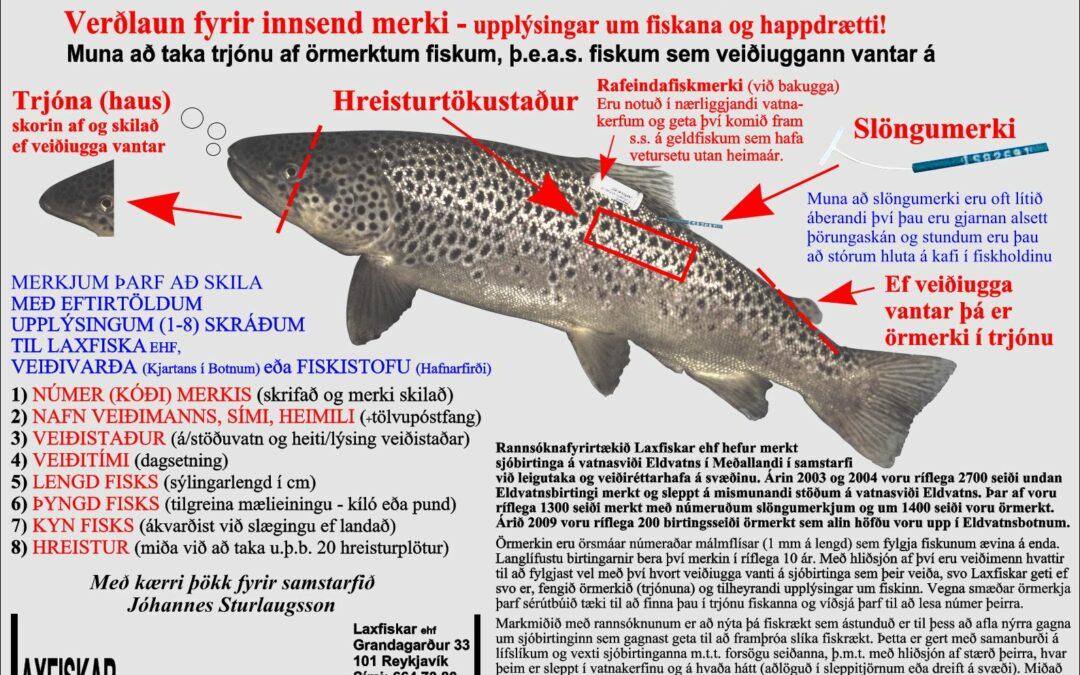 Eldvatnsbotnar
