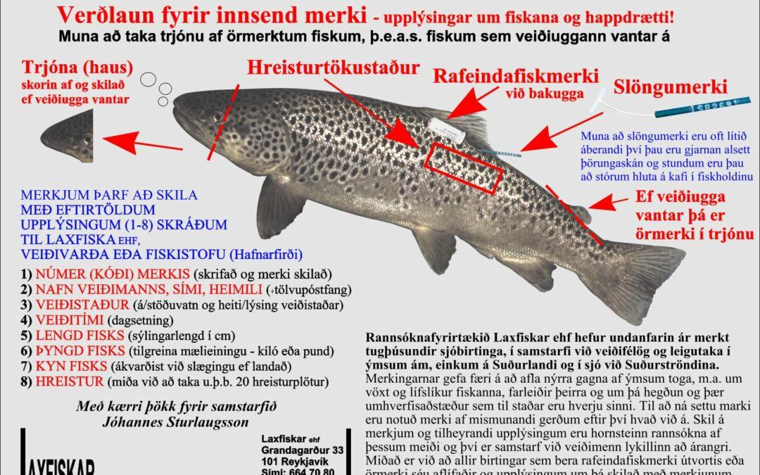 Fiskmerki-ferskvatnsfiskar-Sjóbirtingur – Önnur svæði