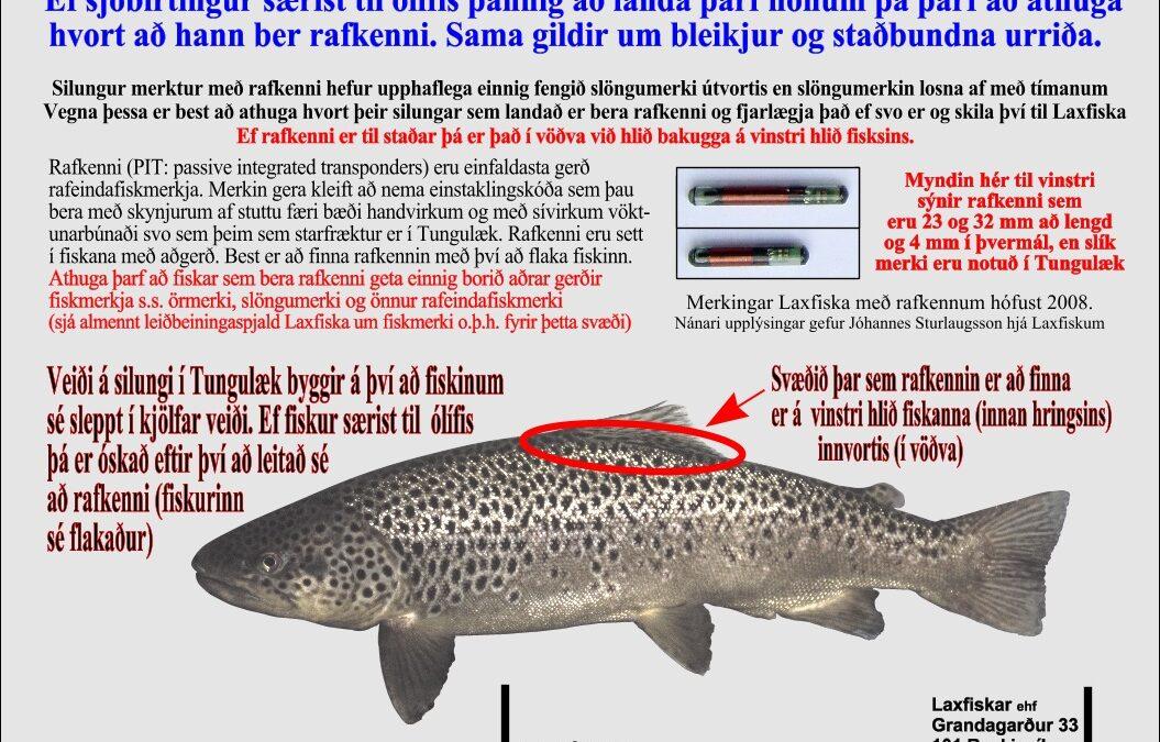 Tungulækur-rafkenni