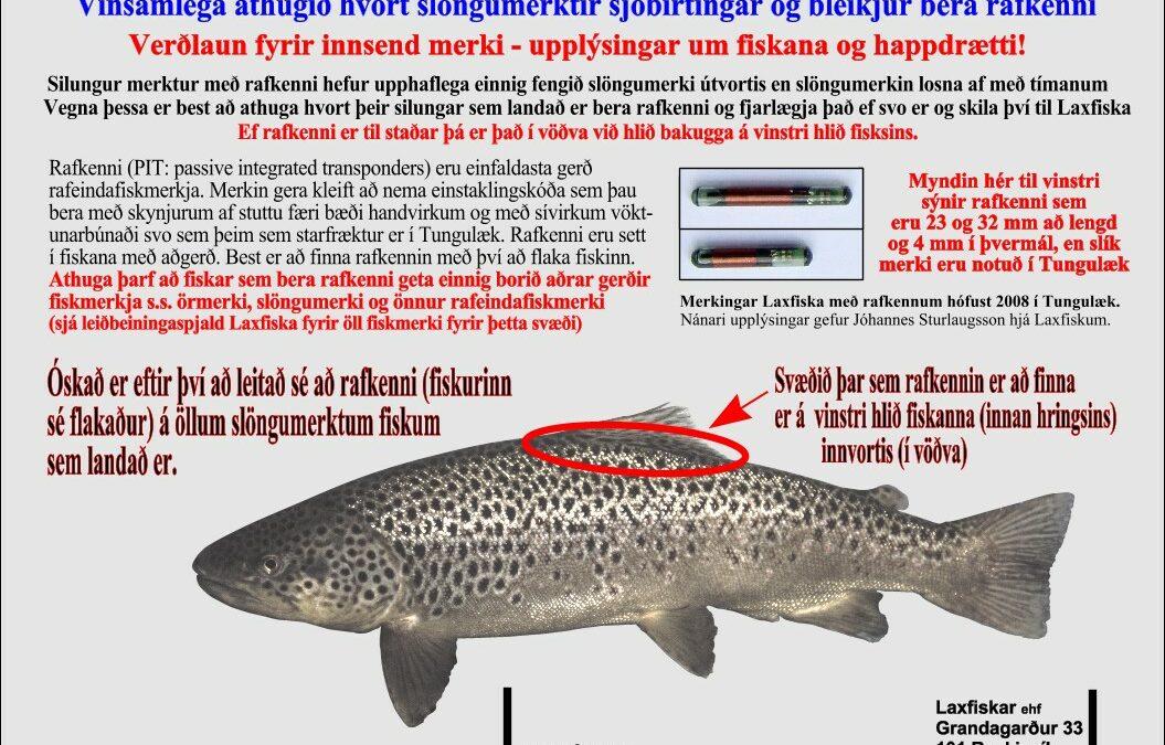 Vatnamótin – Skaftá – Rafkenni