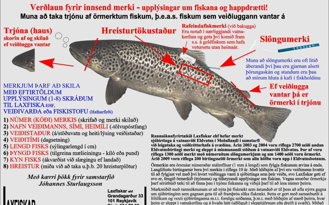 Steinsmýrarvötn