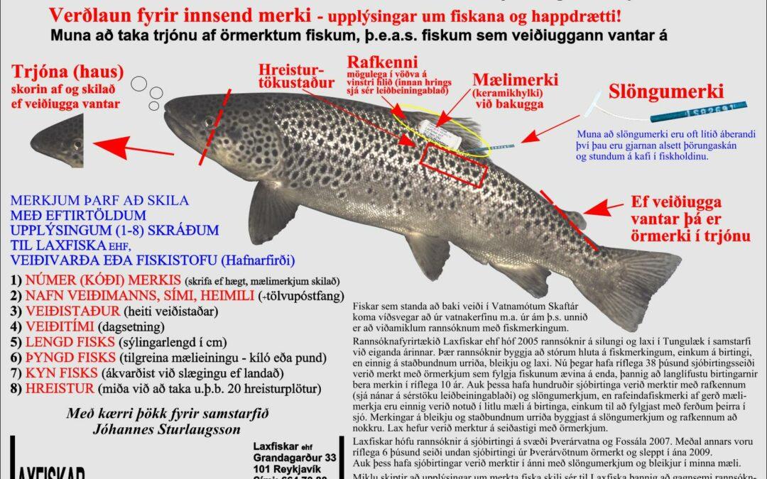 Vatnamótin – Skaftá