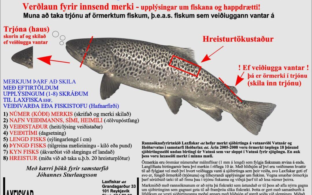 Vatnsá og Heiðarvatn