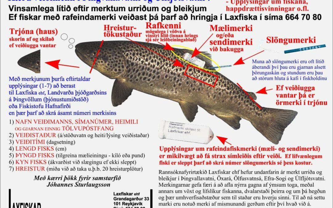 Fiskmerki-Þingv.v_Úlfljv-Fiski landað