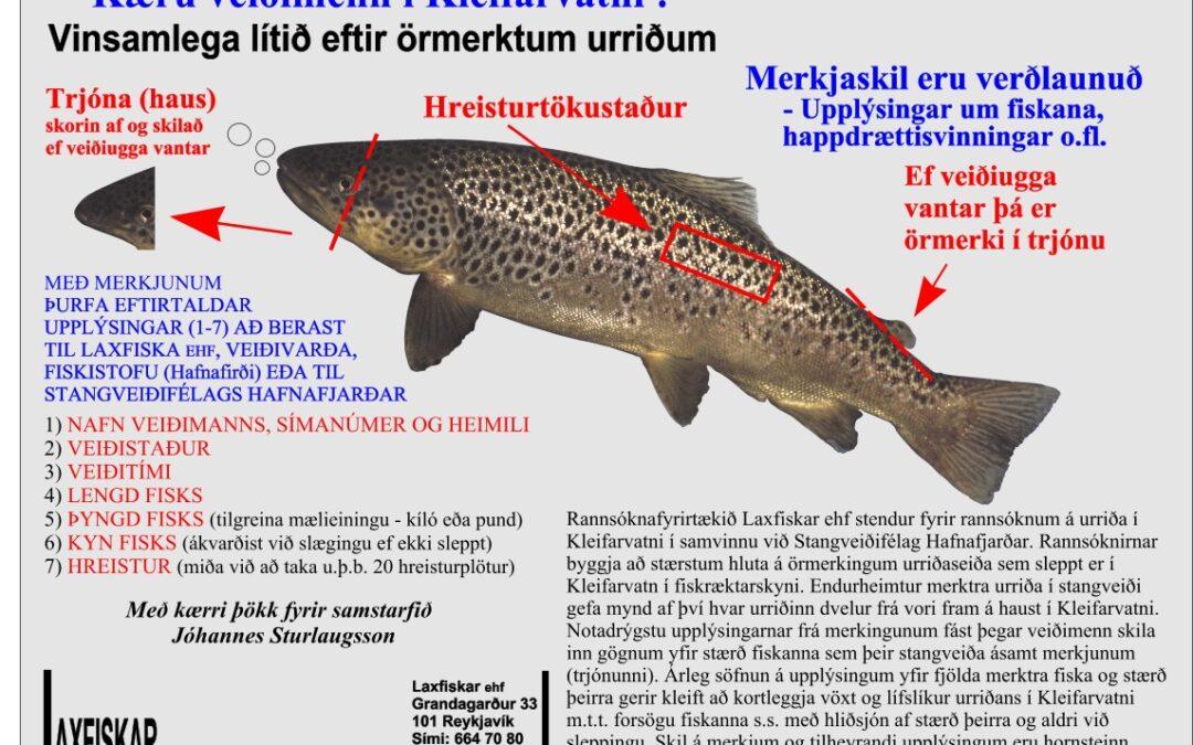Fiskmerki-ferskvatnsfiskar-Kleifarvatn