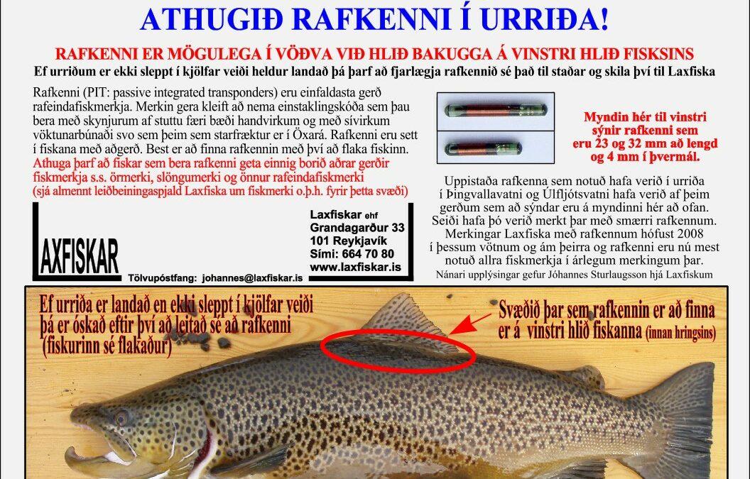 Fiskmerki-ferskvatnsfiskar-Þingv.v_Úlfljv-Rafkenni