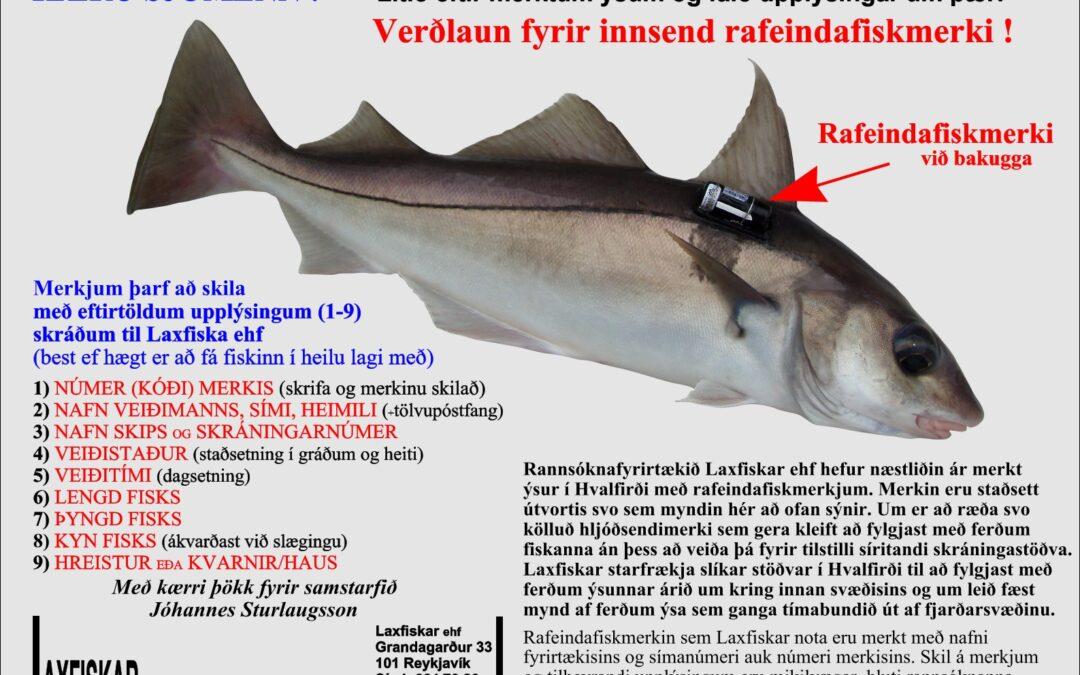 Fiskmerki-sjávarfiskar-Ýsa