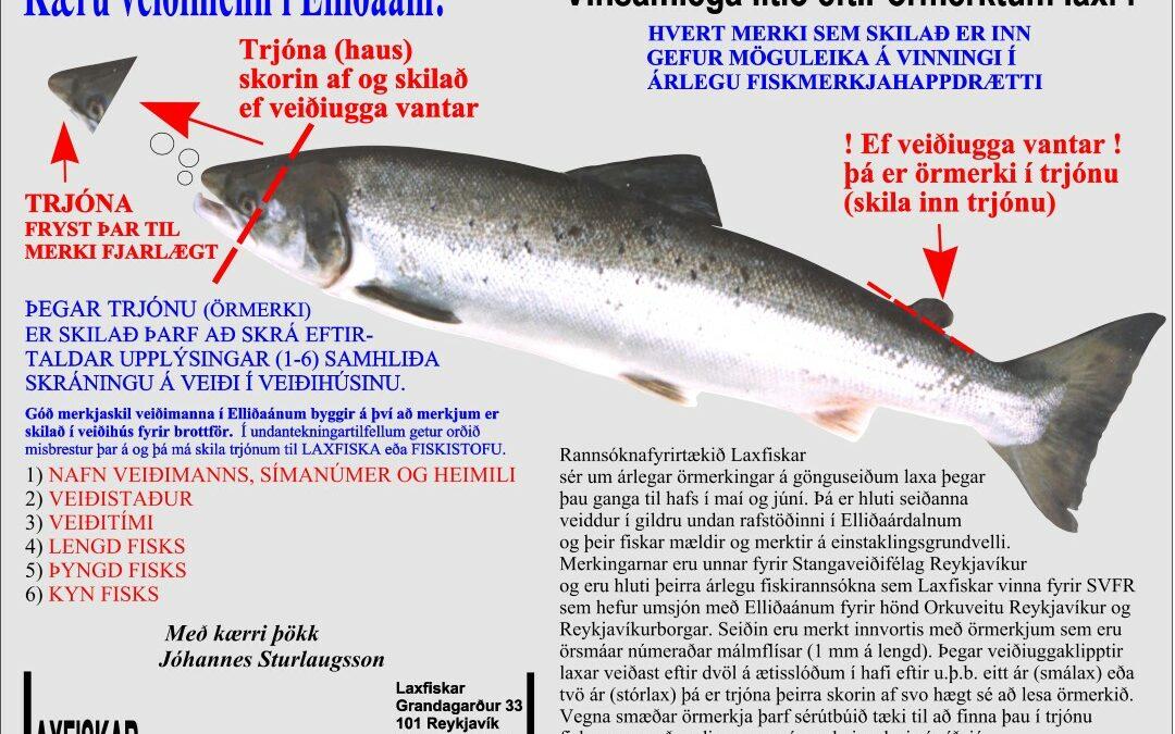 Fiskmerki-ferskvatnsfiskar-Elliðaár
